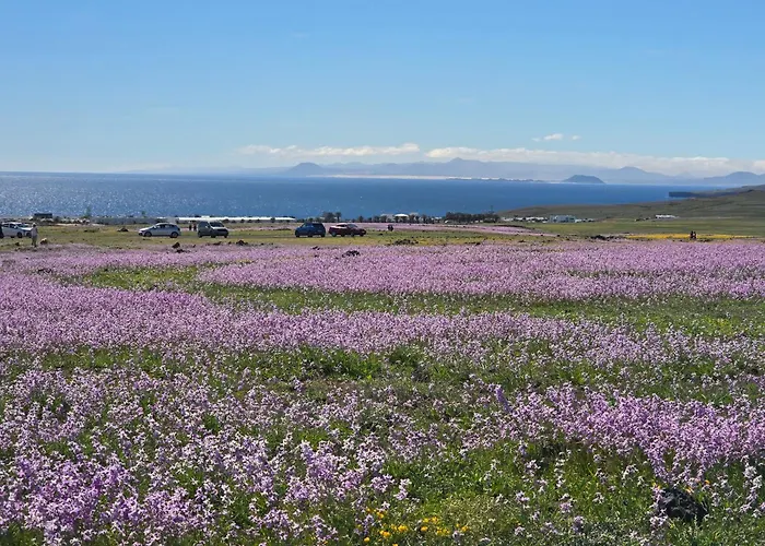 Daire Del Sol Lanzarote - Sea View *