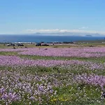 Apartament Del Sol Lanzarote - Sea View *