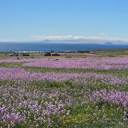 Apartamento Del Sol - Sea View *